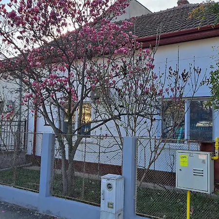 Semesterbostad Cosy House 400 M From Iulius Town *