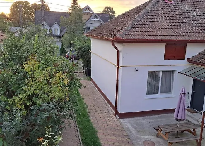 Semesterbostad Cosy House 400 M From Iulius Town *