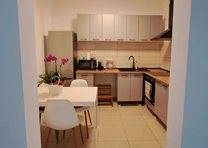 Cosy House 400 M From Iulius Town Holiday home Timisoara