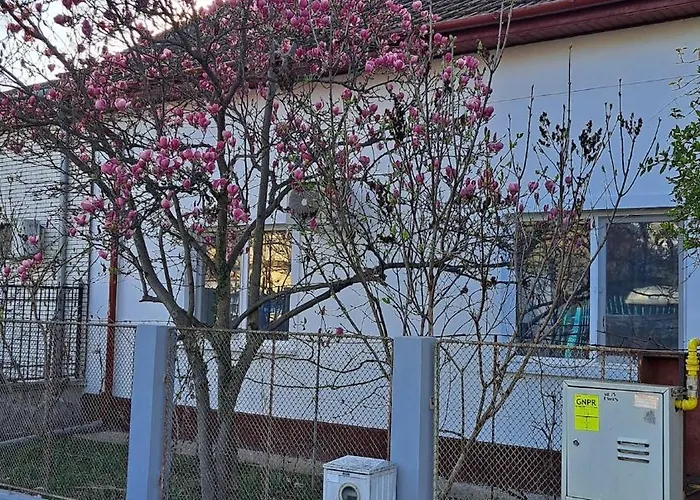 Semesterbostad Cosy House 400 M From Iulius Town *