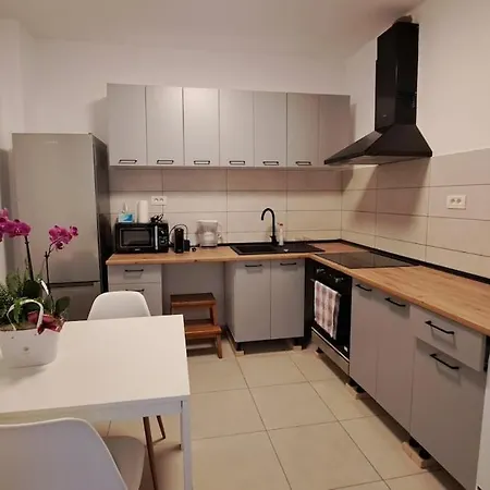 Cosy House 400 M From Iulius Town * Timisoara