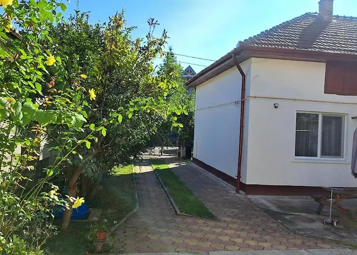Cosy House 400 M From Iulius Town Тимишоара