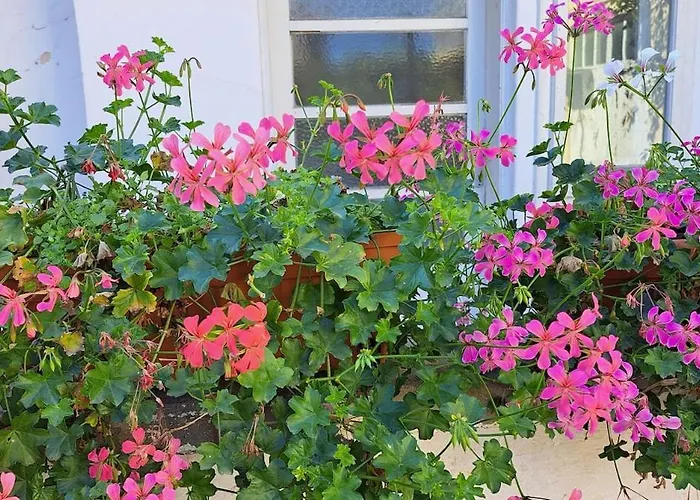 Cosy House 400 M From Iulius Town Дом отдыха Тимишоара